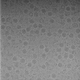 A single two-dimensional cryo-EM micrograph